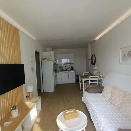 Beau T2 Climatisé Avec Terrasse Et Parking - Fr-1-799-49 Le Barcarès