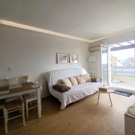 Beau T2 Climatisé Avec Terrasse Et Parking - Fr-1-799-49 *